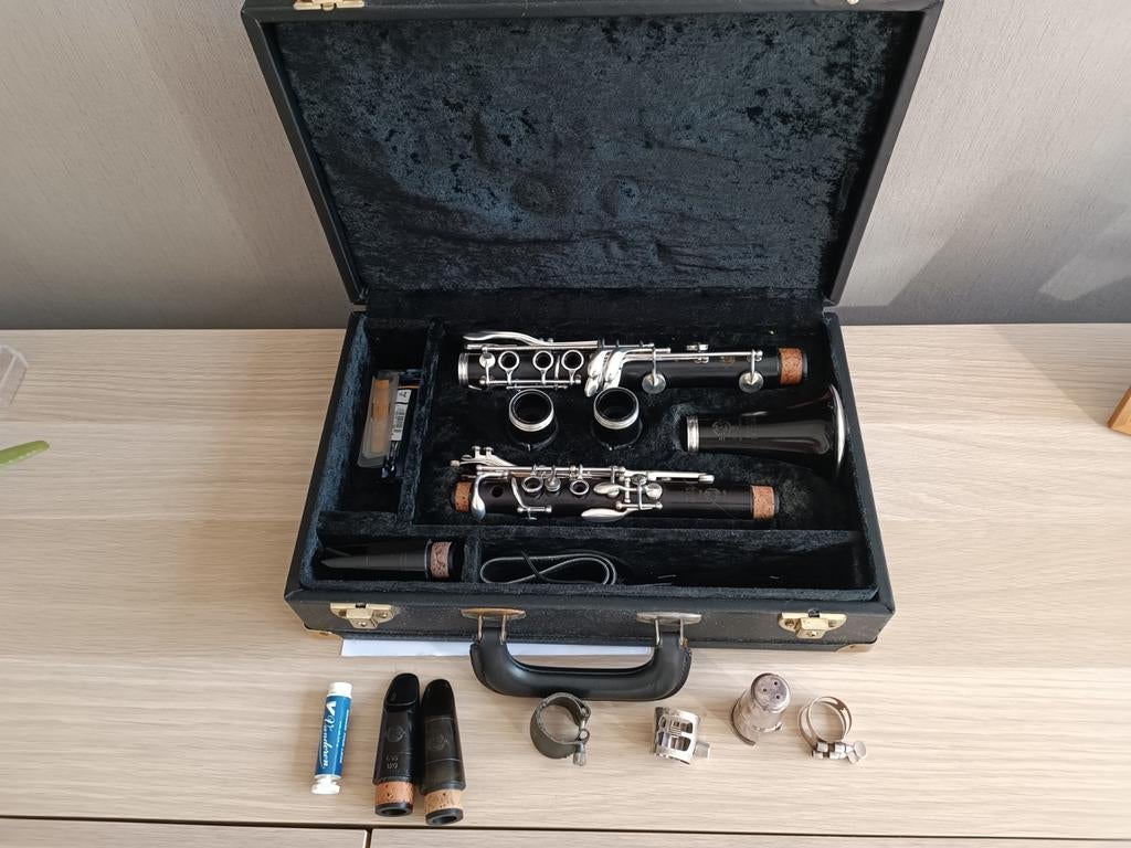 Selmer S10 klarinet, Ophalen of Verzenden, Hout
