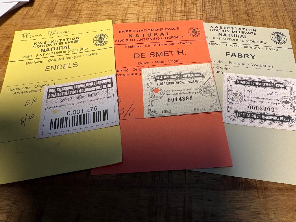 Duivenringen / Belgische Bewijzen en Kaarten, Meerdere dieren, Postduif