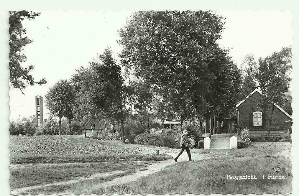 AK 't Harde - Bosgezicht, Verzenden, 1960 tot 1980, Ongelopen, Gelderland