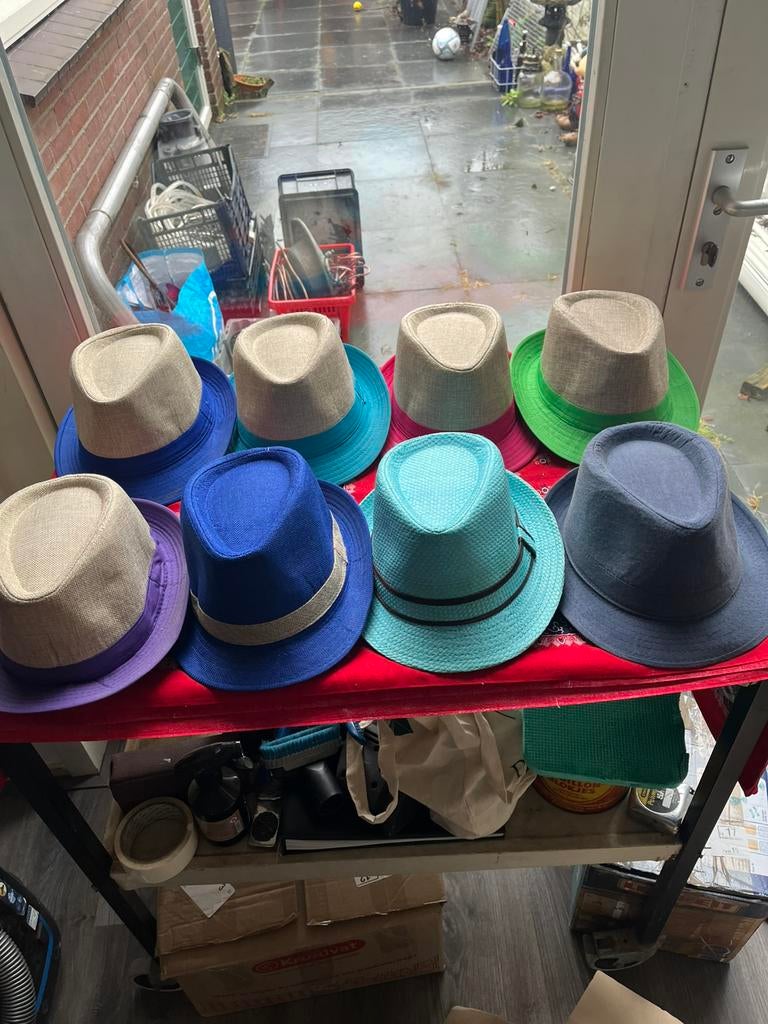 Hoeden Diverse, Ophalen of Verzenden, Zo goed als nieuw, 58 cm (L, 7¼ inch) of meer, Hoed