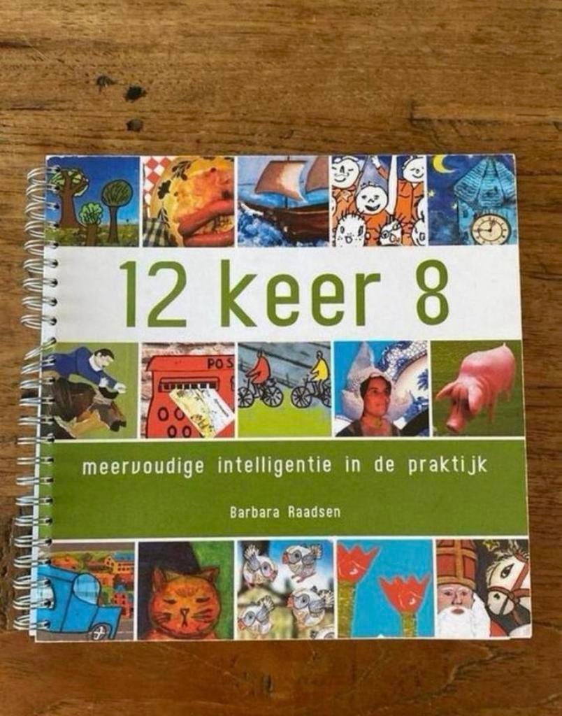 12 X 8 Meervoudige Intelligentie in de praktijk, Boeken, Studieboeken en Cursussen, Zo goed als nieuw, HBO, Alpha, Ophalen of Verzenden