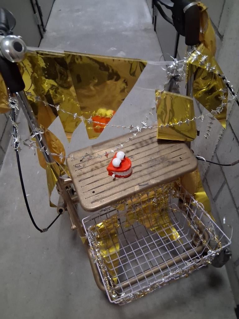 Carnaval rollator, Diversen, Ophalen