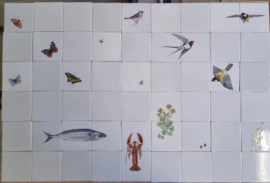 Echte Friese witjes De MOOISTE en BETAALBAAR!, Ophalen, Minder dan 20 cm, 10 m² of meer, Wandtegels