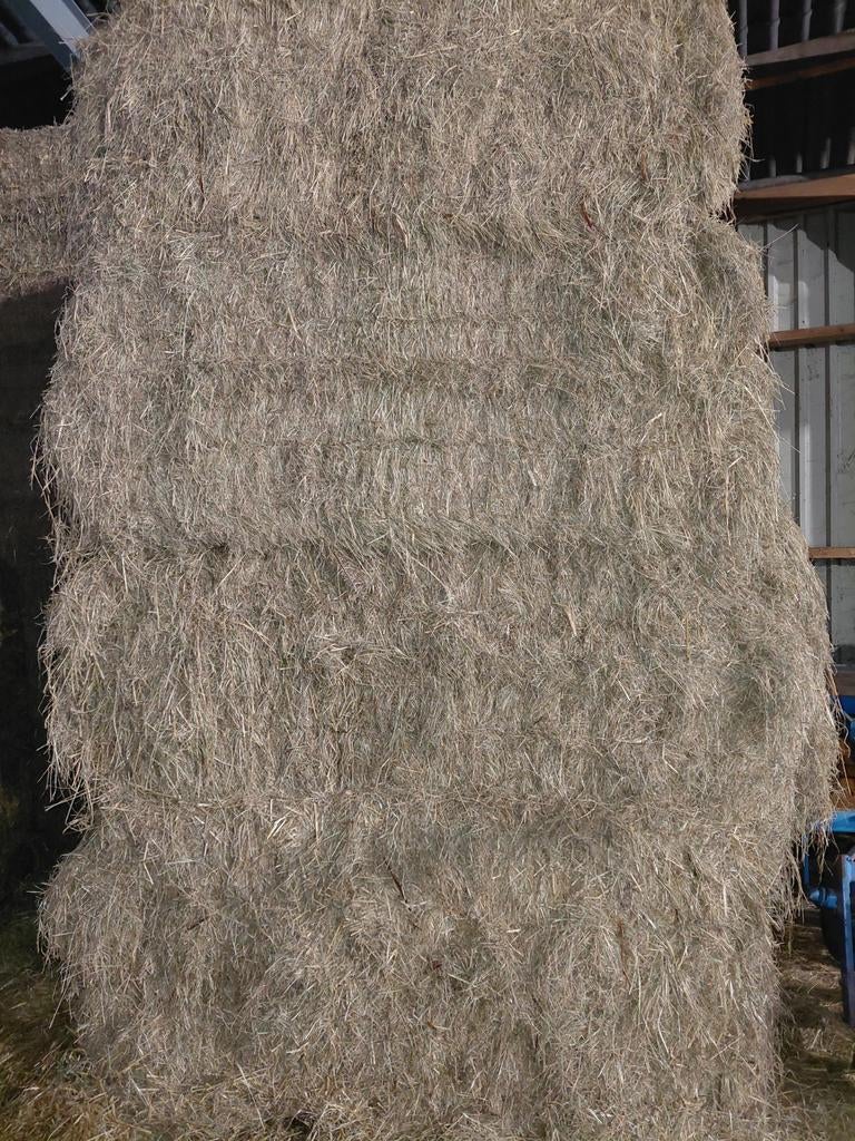 Hooi grote balen, Dieren en Toebehoren, Dierenvoeding, Ophalen of Verzenden, Vee