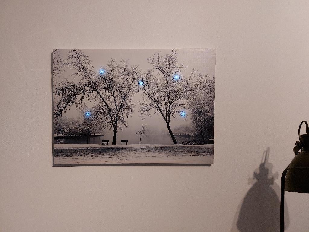 Canvas doek met verlichting, Ophalen, 50 tot 75 cm, Overige typen, Nieuw