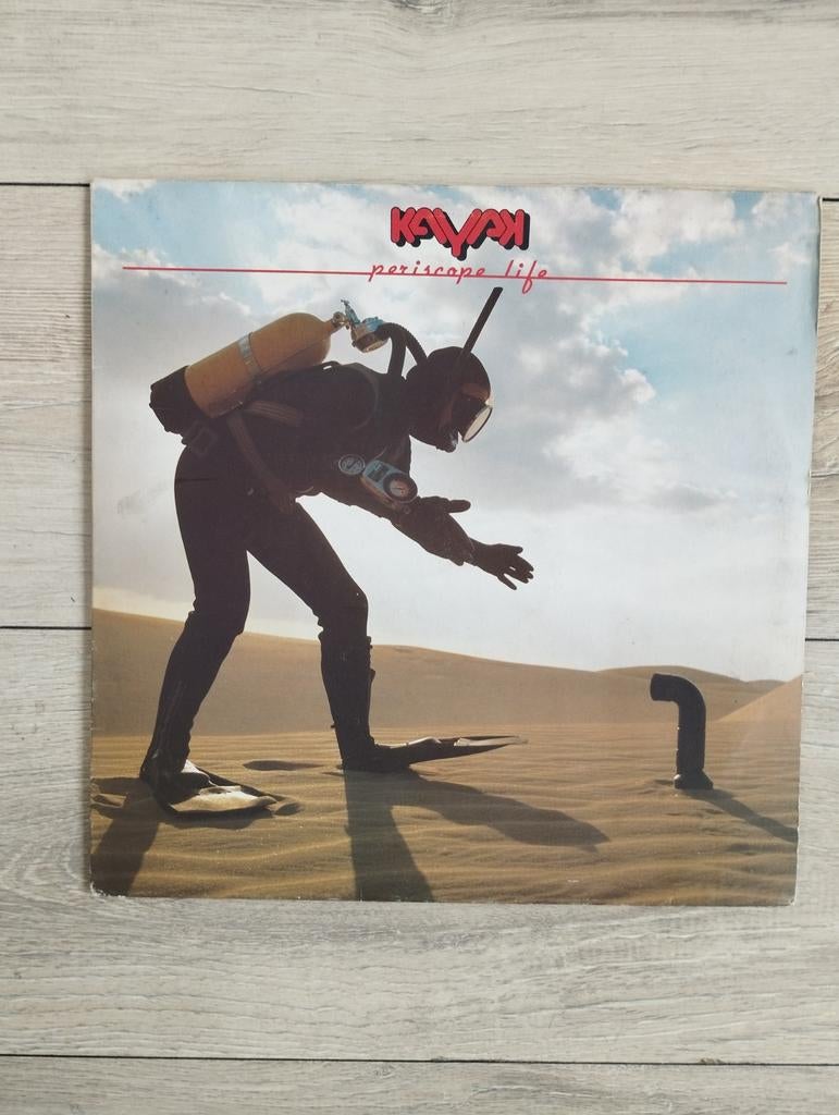 Kayak!!, Ophalen of Verzenden, Zo goed als nieuw, 12 inch