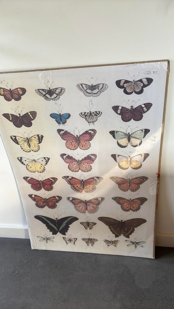 Poster van Vlinders - Ikea 70 x 100 cm, Verzamelen, Ophalen of Verzenden, Zo goed als nieuw, A1 t/m A3