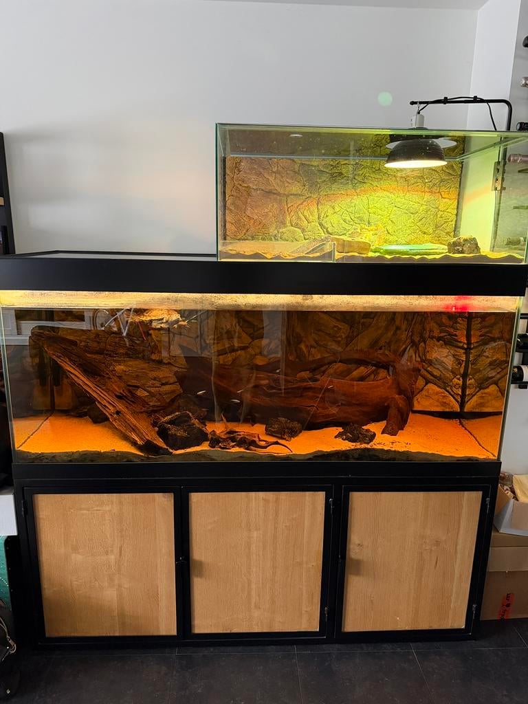 Aquarium 170x60x60 1 cm dik glas van Wolferen custom made, Overige merken, Zo goed als nieuw, Leeg aquarium, Inclusief deksel