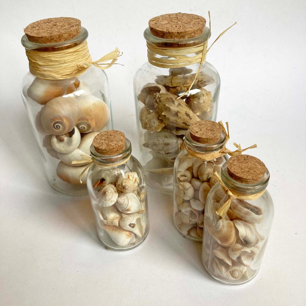 woonaccessoire: 5 potjes met schelpen, Ophalen of Verzenden