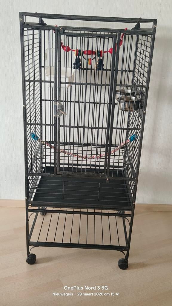 Papagaai kooi, Compleet. HBD 138/60/56€45,, Dieren en Toebehoren, Vogels | Hokken en Kooien, Ophalen, Gebruikt, Metaal, Vogelkooi