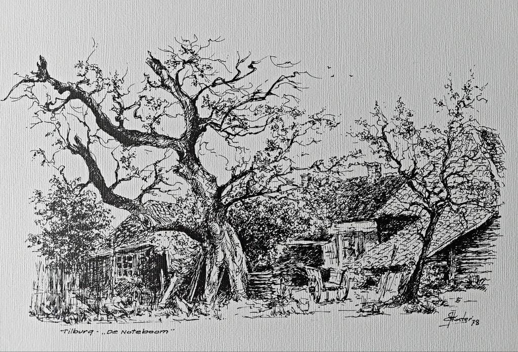 Tilburg ... de Notenboom ..., Antiek en Kunst, Kunst | Tekeningen en Foto's, Ophalen of Verzenden