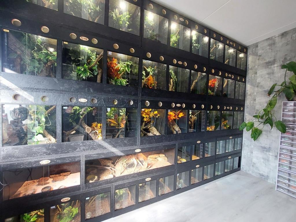 Osb3 terrarium RepHouSZ. Ook maatwerk, Ophalen, Nieuw, Terrarium of Paludarium