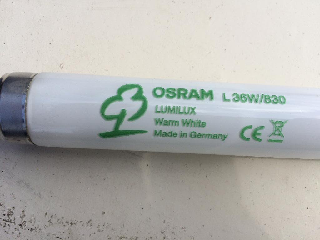 TL BUIZENOSRAM  L36W/830 Lumilux Warm White, Ophalen, Nieuw, Minder dan 50 watt, Lamp
