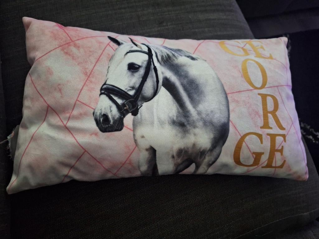 Roze kussentje met paard en 'GEORGE' opdruk, Ophalen of Verzenden, Zo goed als nieuw