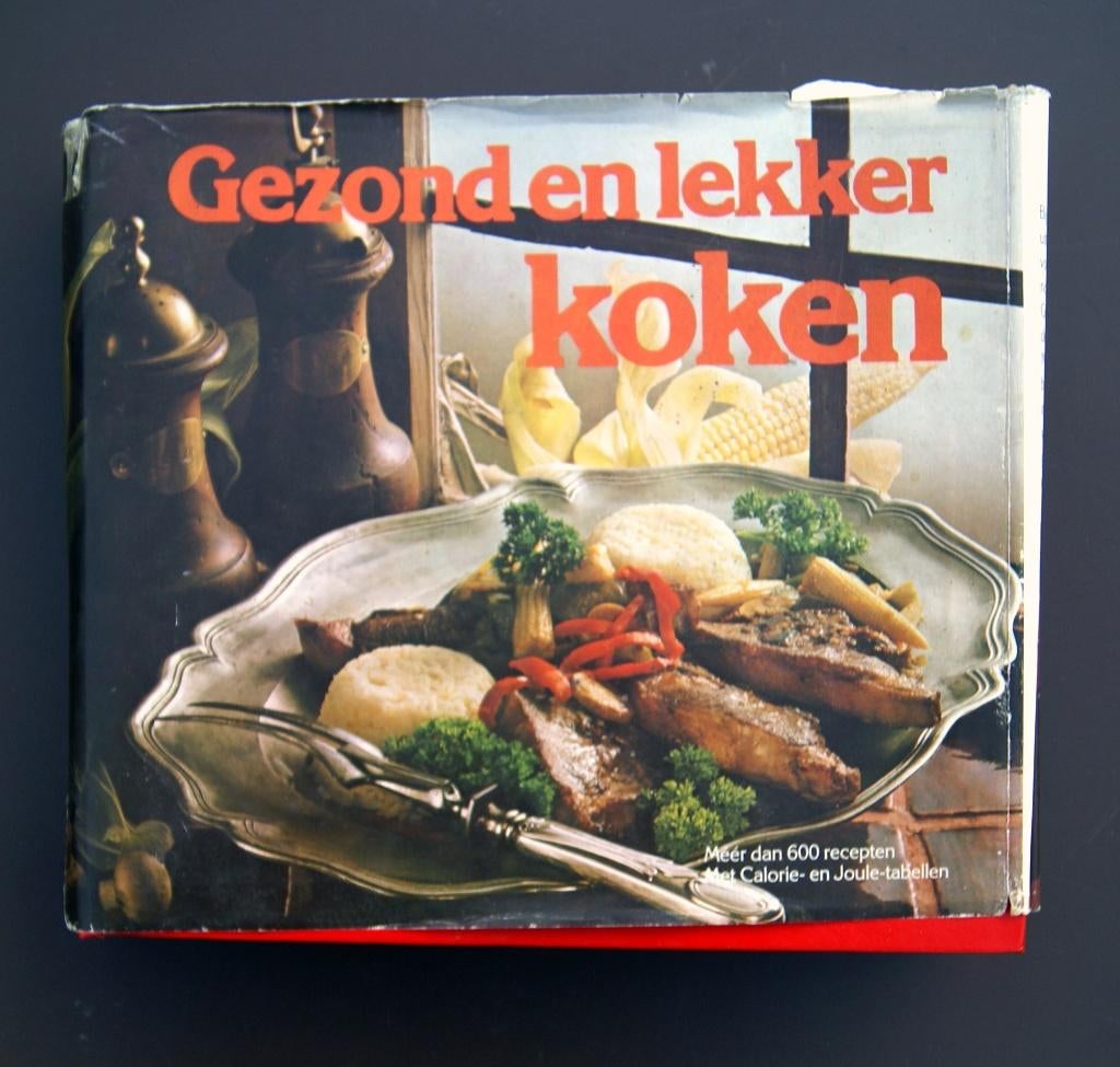 GEZOND EN LEKKER KOKEN, Boeken, Kookboeken, Verzenden, Zo goed als nieuw, Europa