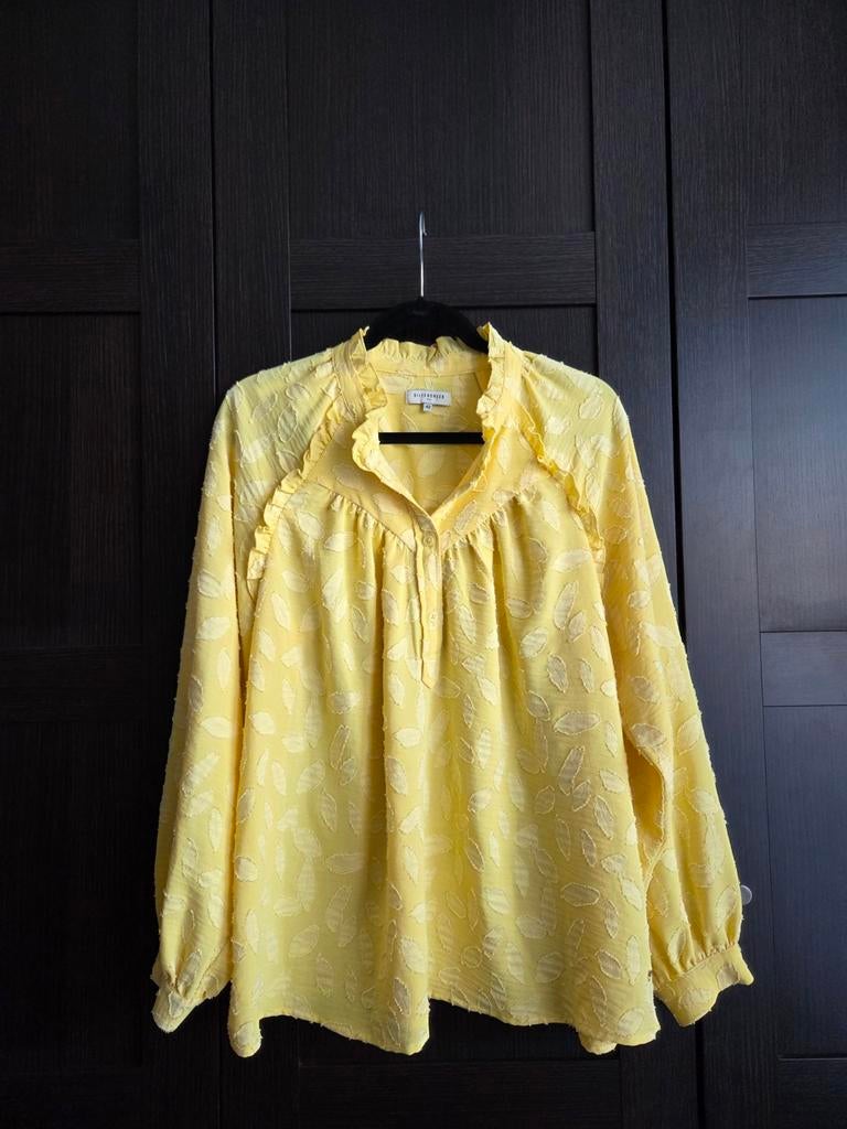 Silver creek blouse geel geborduurde blaadjes 42 L 38 M Kara, Kleding | Dames, Silver Creek, Geel, Maat 42/44 (L), Ophalen of Verzenden