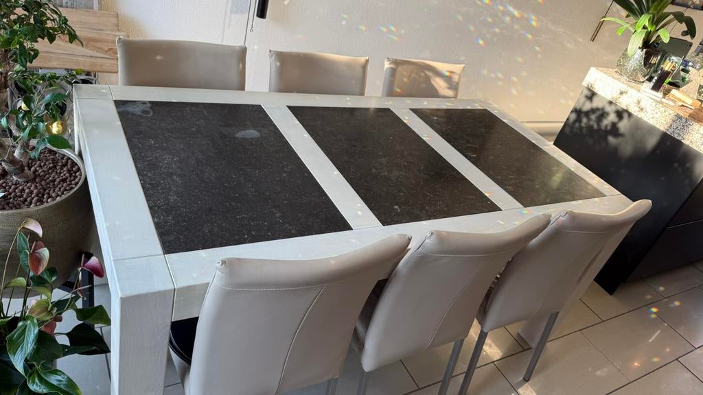 Eettafel met zes stoelen, Huis en Inrichting, Tafels | Eettafels, Ophalen, Overige materialen, 200 cm of meer, 50 tot 100 cm