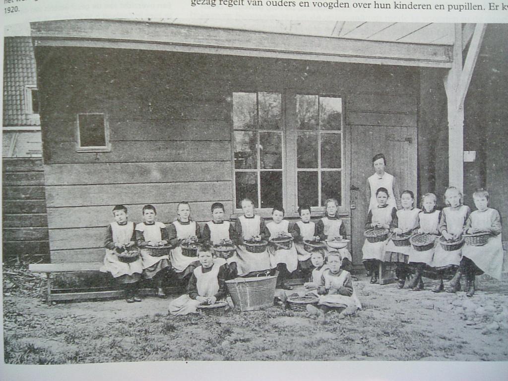 Zeeuwen gezocht. Gids voor stamboomonderzoek in Zeeland., Ophalen of Verzenden, Zo goed als nieuw, L. Hollestelle