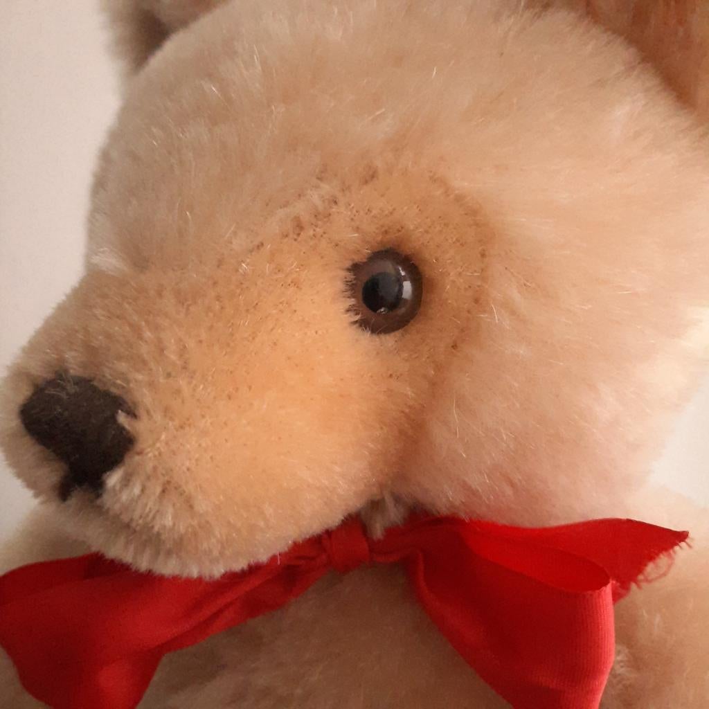 Steiff Teddybeer met Bromgeluid - Klassiek en Charmant, Ophalen of Verzenden, Zo goed als nieuw