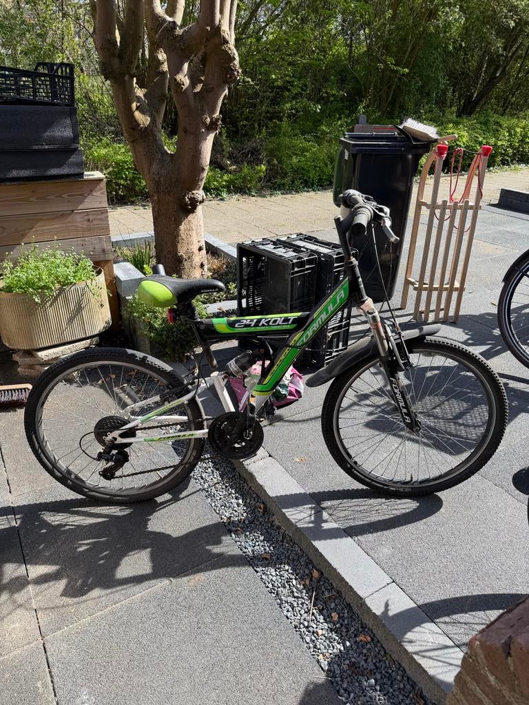 Klus kinderfiets, Ophalen, Gebruikt, 20 inch of meer