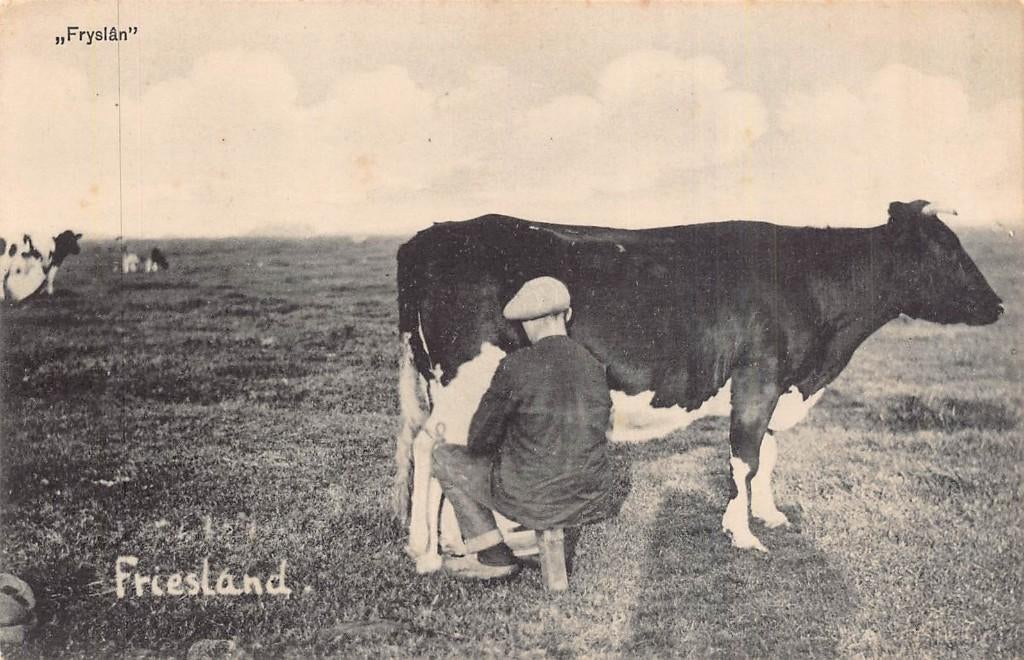 503 Fryslan - Boerenleven, Ophalen of Verzenden, 1920 tot 1940, Ongelopen, Friesland