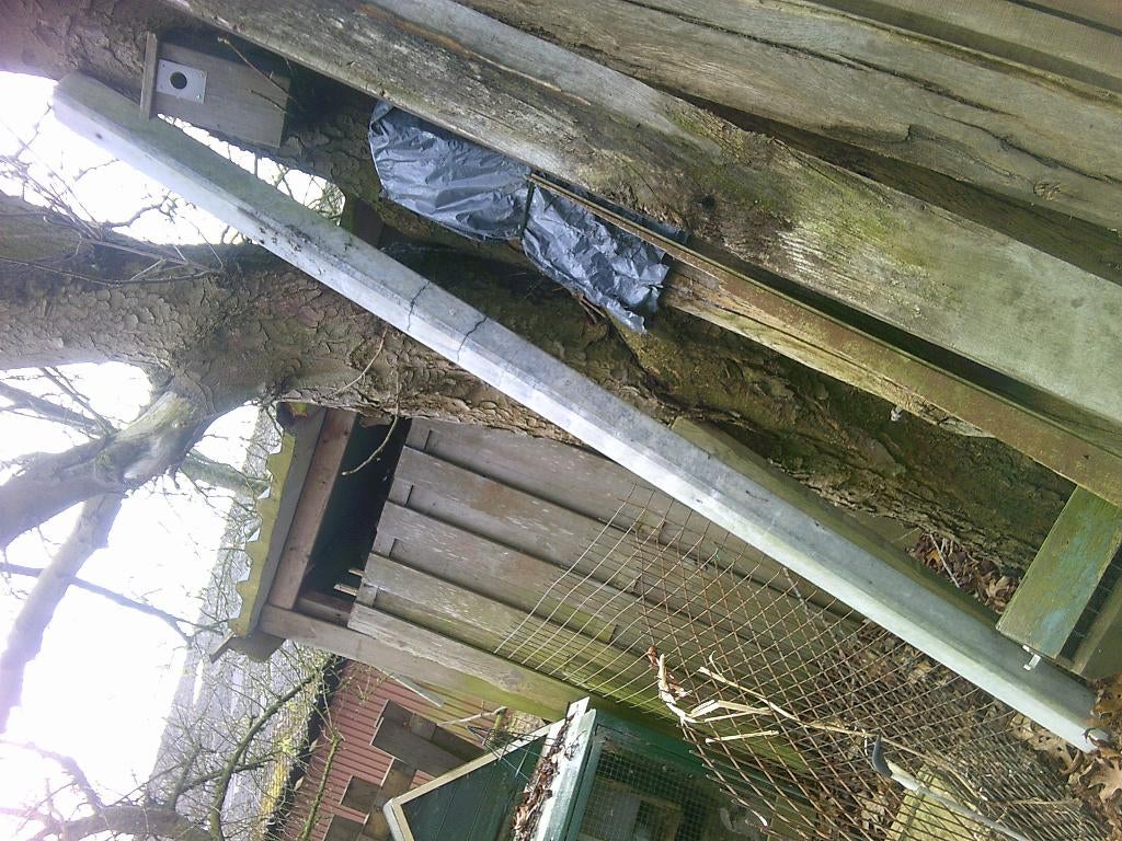 GRATIS Betonpaal Schuttingpaal 10x10cm L=+/- 275cm GRATIS, Ophalen, Overige materialen, Minder dan 3 meter, Zo goed als nieuw