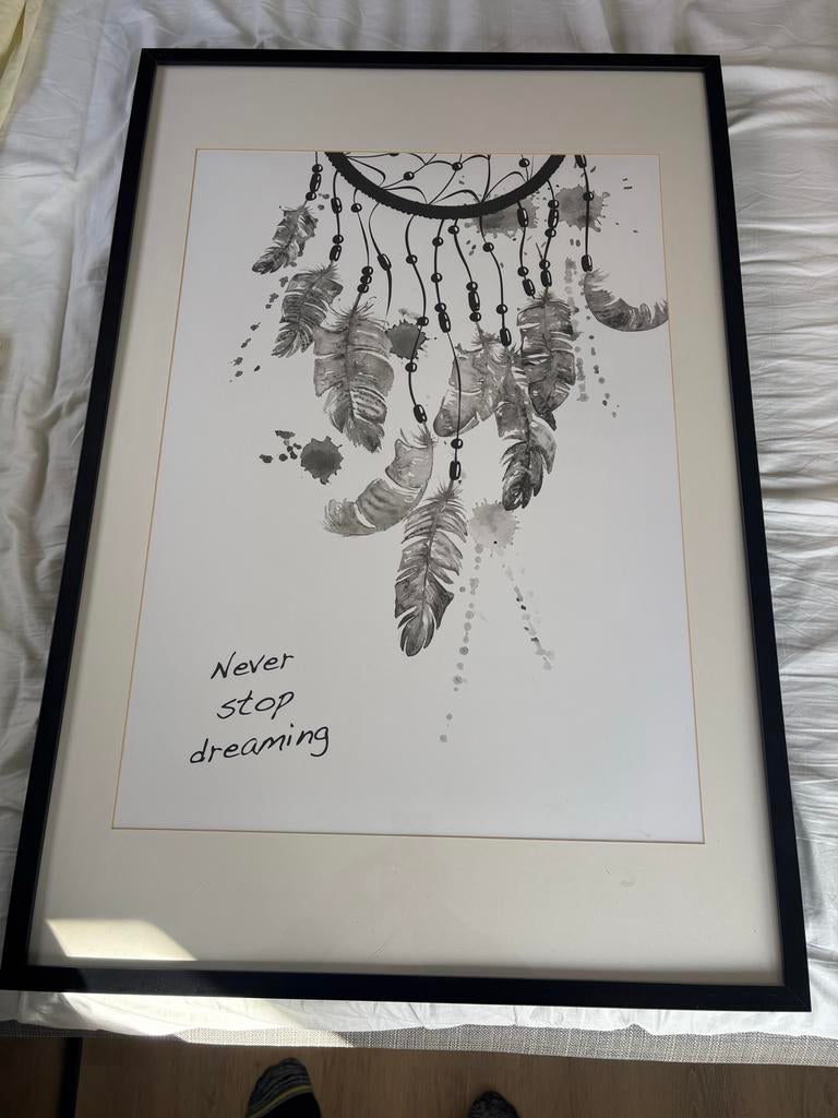 Grote lijst met Dromenvanger Poster, Huis en Inrichting, Woonaccessoires | Schilderijen, Tekeningen en Foto's, Gebruikt, Foto of Poster