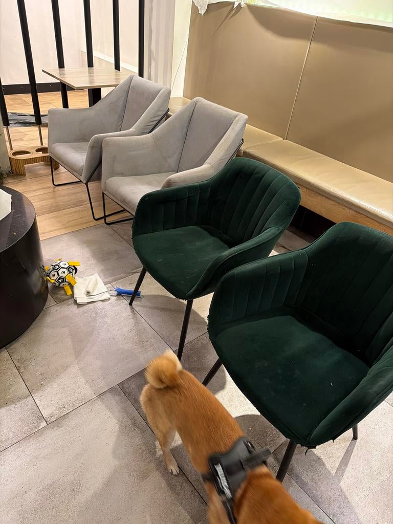 Gratis stoelen en fauteuils, Ophalen, Gebruikt, Overige kleuren, Vier