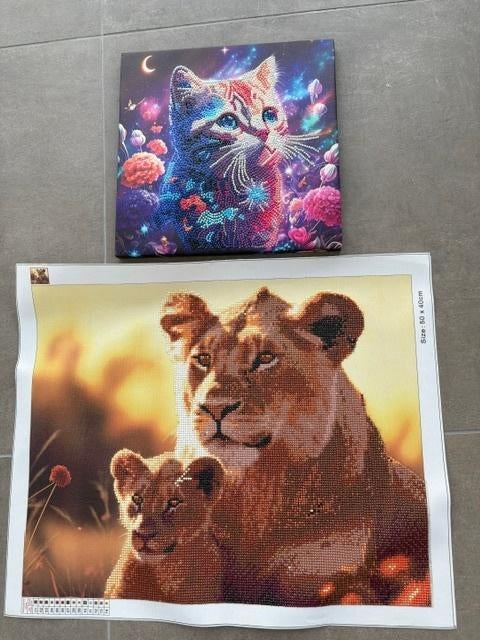 Gratis; Diamond painting schilderijtjes, Ophalen, Minder dan 50 cm, Nieuw, Schilderij