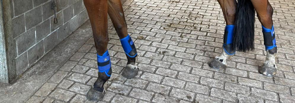 Crossbeschermers, Dieren en Toebehoren, Ophalen of Verzenden, Zo goed als nieuw