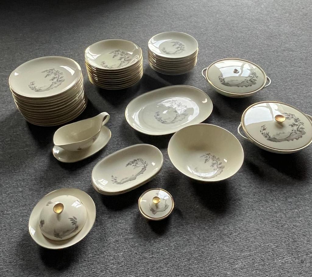 Heinrich & Co Selb Bavaria Servies met Landschap, Ophalen