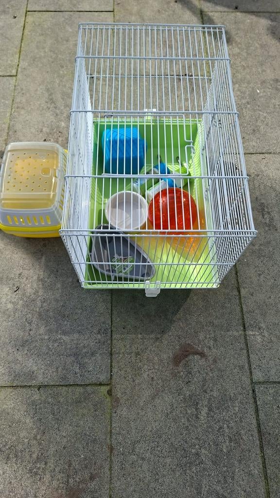 Hamsterkooi met inrichting, Minder dan 60 cm, Minder dan 75 cm, Ophalen of Verzenden, Zo goed als nieuw
