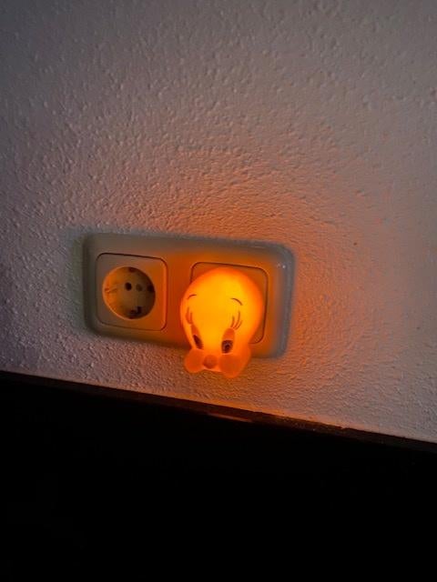 Tweety Nightlamp Warner Bros 1998 by Casal, Ophalen of Verzenden, Overige figuren, Zo goed als nieuw, Overige typen