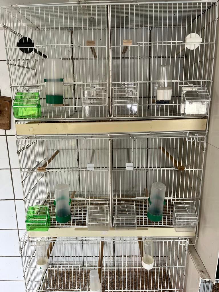 Draadkooien, Ophalen of Verzenden, Zo goed als nieuw, Metaal, Broedkooi of Kweekkooi