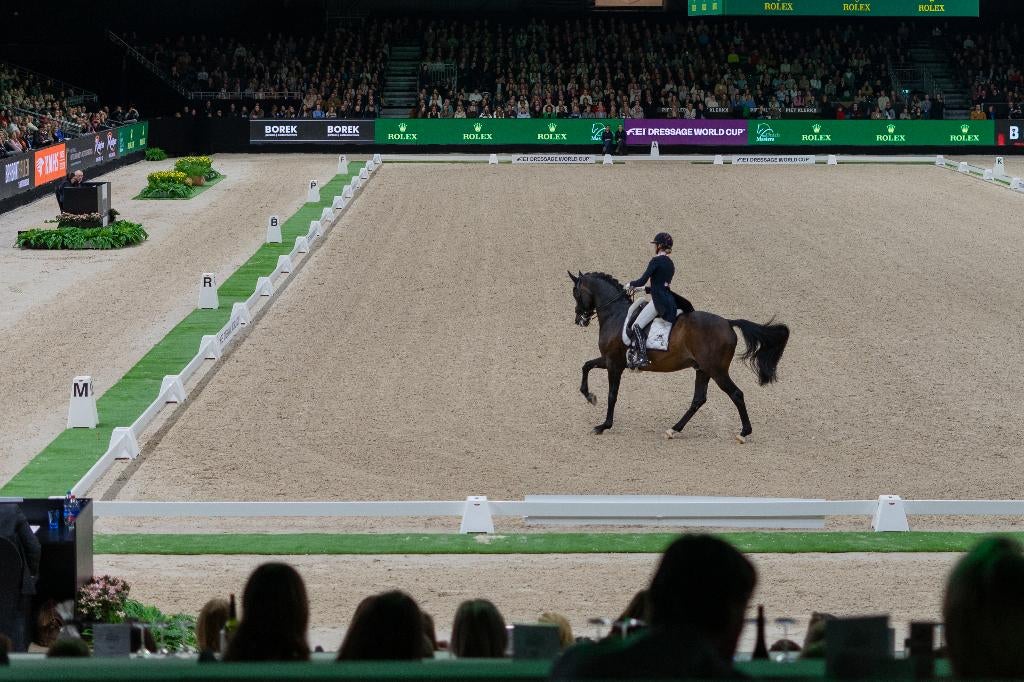 Dressuurpistes 20x60m uit verhuur. Outlet prijs, 30% korting, Ophalen of Verzenden, Zo goed als nieuw, Dressuur