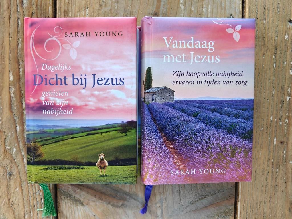 2 Dagboeken van Sarah Young., Ophalen of Verzenden, Zo goed als nieuw