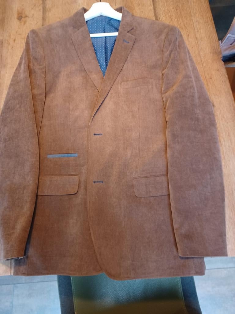 Te koop 2 mooie colberts ,samen 50 euro., Ophalen of Verzenden, Zo goed als nieuw, Maat 52/54 (L)