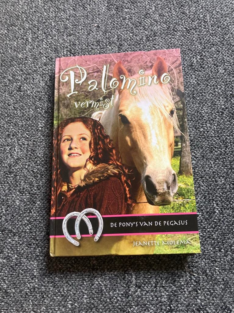 Palomino Vermist - Janette Molema, Ophalen of Verzenden, Zo goed als nieuw, Fictie algemeen
