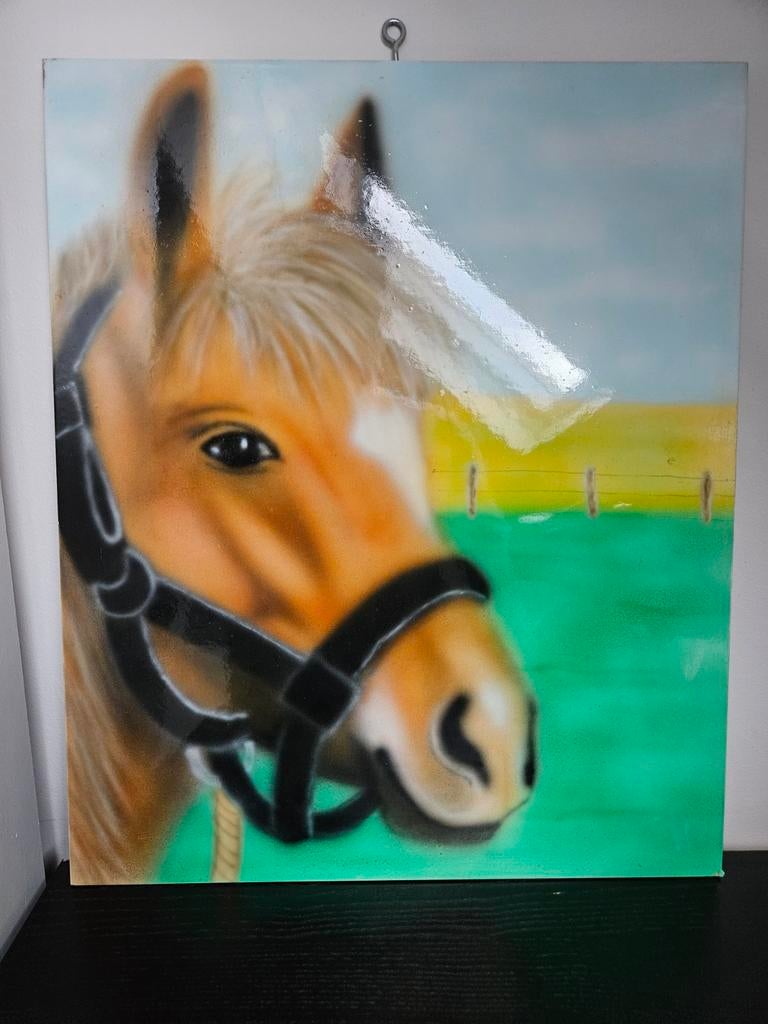 Airbrush Schilderij van een Paard, Ophalen of Verzenden