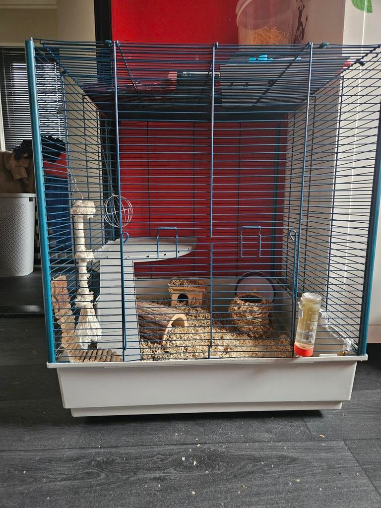 Hamsterkooi, Ophalen, Kooi, Gebruikt, 60 tot 90 cm