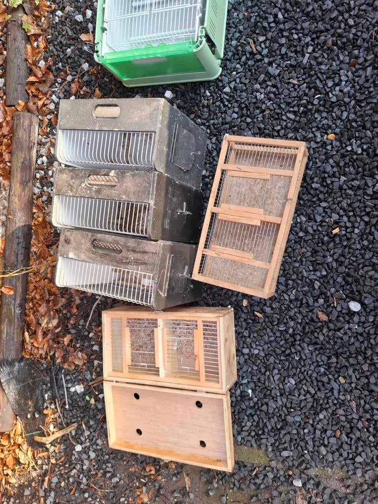 Transport kooien, Dieren en Toebehoren, Ophalen, Hout, Vogelkooi