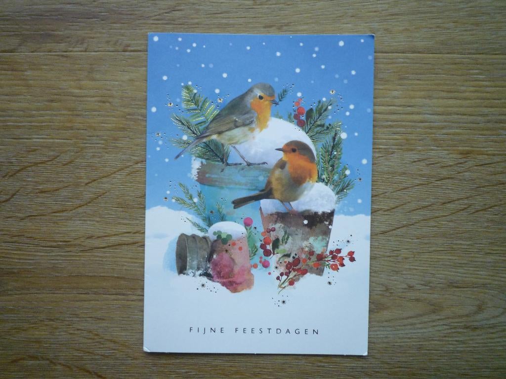 Roodborstje vogels (1), Ophalen of Verzenden, 1980 tot heden, Hond of Kat