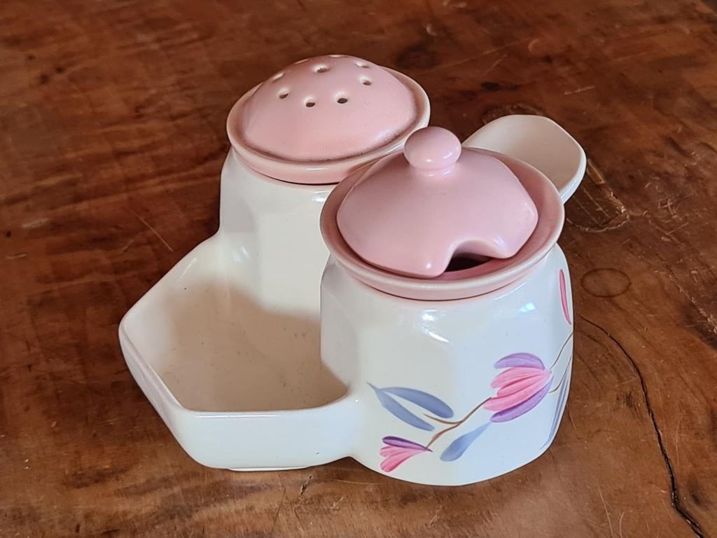 Crown Devon peper en zout en mosterd stel., Ophalen of Verzenden, Porselein