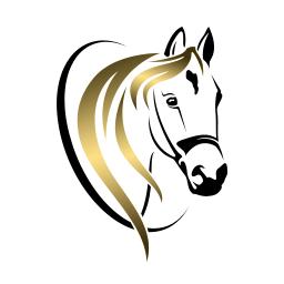 ruitertje gezocht voor Welsh B merrie in Oirschot, Dieren en Toebehoren, Stalling en Weidegang, 1 paard of pony