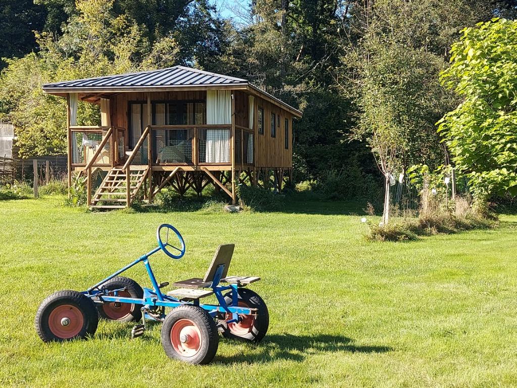 Eco Lodge op klein schalig Ned. vakantiedomein (5-6p), Vakantie, Campings, Huisdier toegestaan, In bos, Landelijk