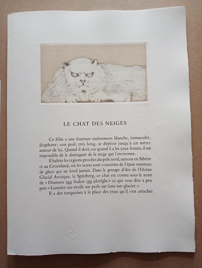 Leonor Fini Ets Les Chat des Neiges Surrealisme 1975, Ophalen of Verzenden