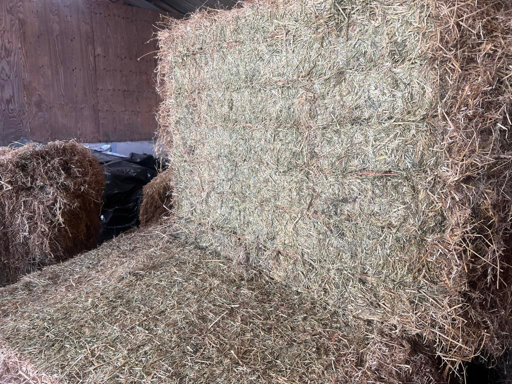 Luzerne balen - Hoogwaardig ruwvoer voor vee, Ophalen