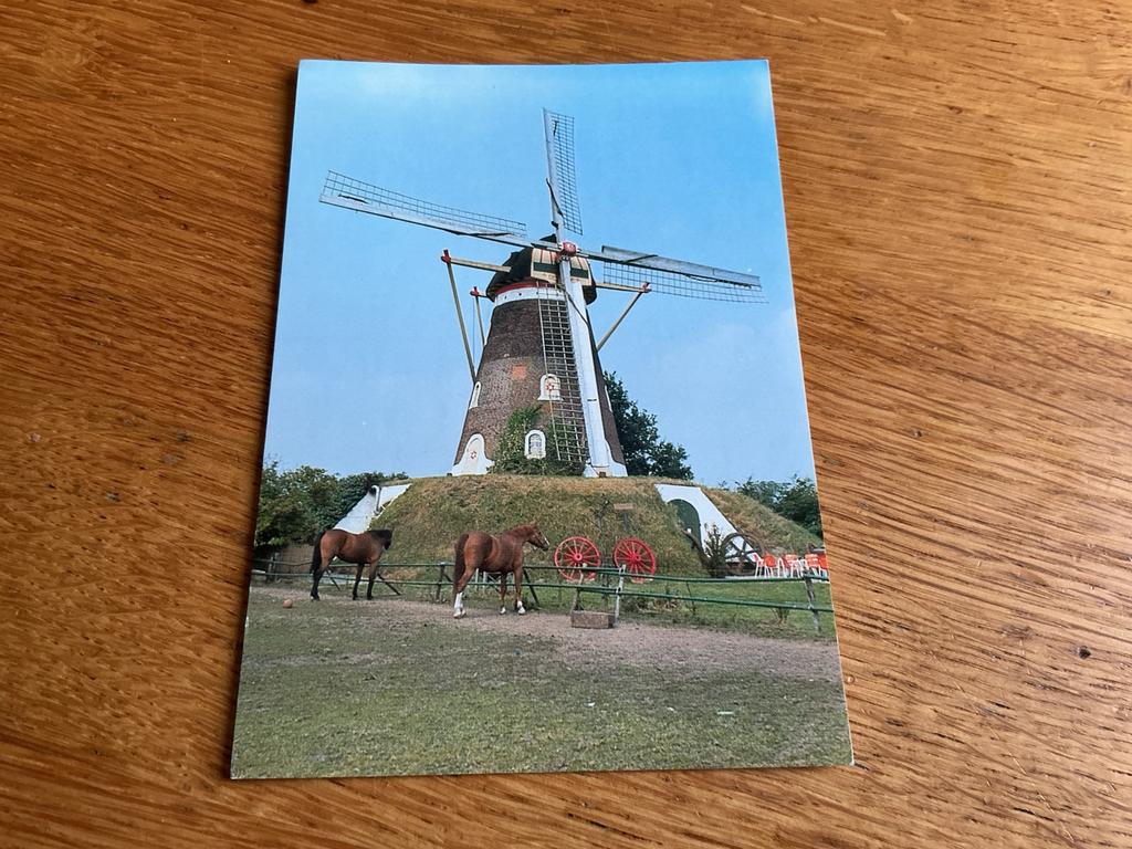 869 molen Bavel bij Breda paard, Ophalen of Verzenden, Noord-Brabant