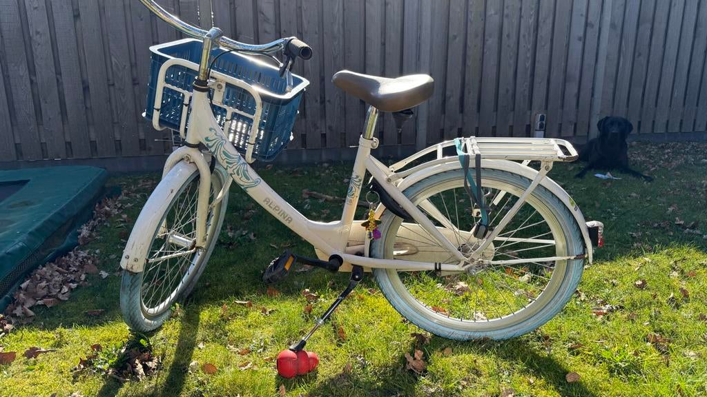 Alpina meisjesfiets 22 inch - Opknapper met krat, Ophalen, Gebruikt, 20 inch of meer