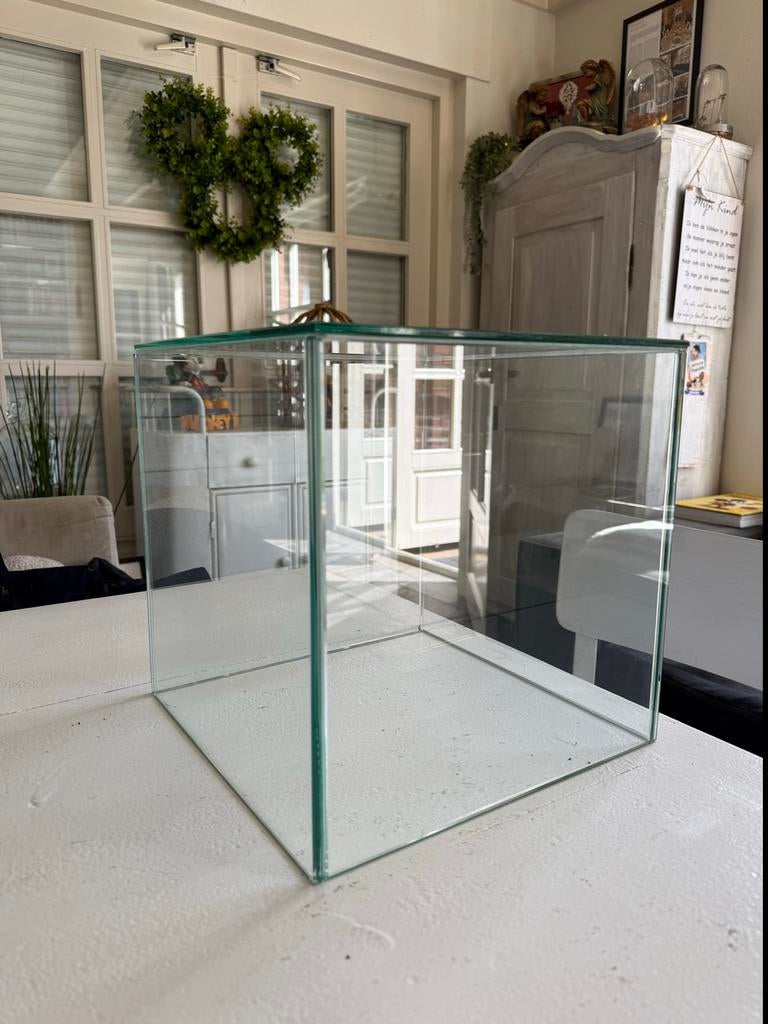 Glazen display vitrine, Ophalen, Minder dan 50 cm, Gebruikt, Glas
